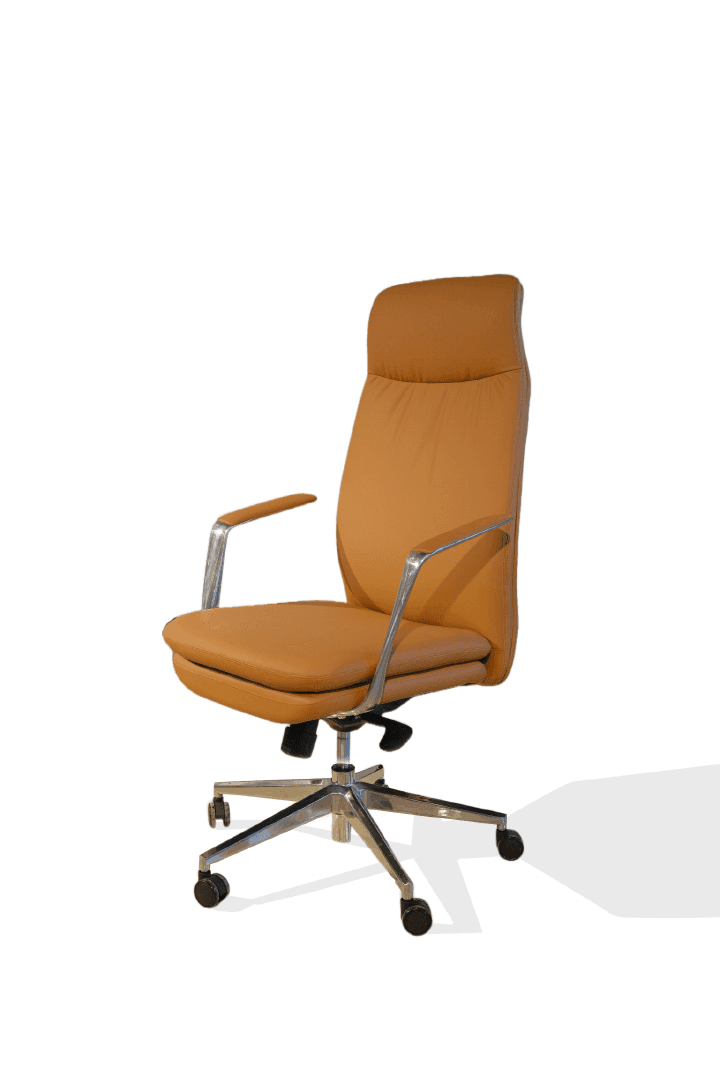 Ergonomic Office Chair