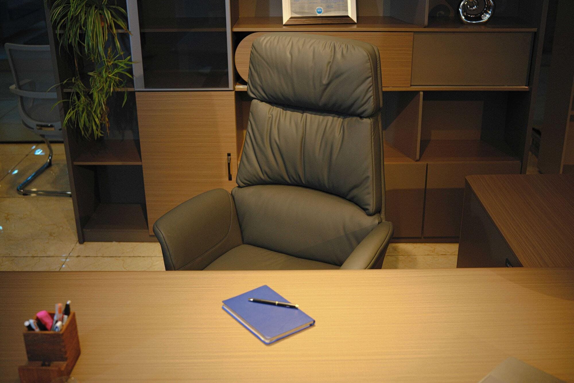 Chairs furniture showcase